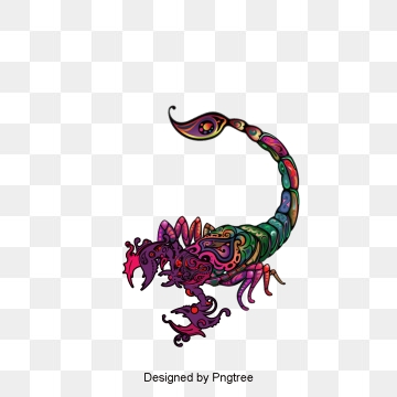 360x360 Scorpion Png Images Vector And Free Download
