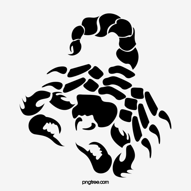 640x640 Scorpion Png, Vector, And Clipart With Transparent Background
