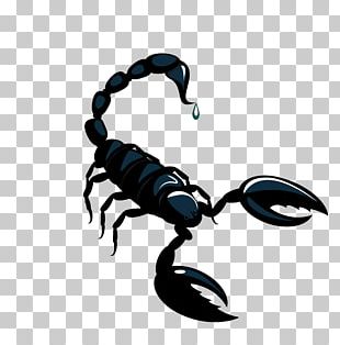 310x314 Scorpion Vector Png Images, Scorpion Vector Clipart Free Download