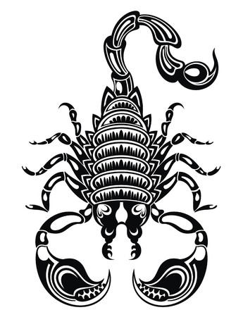345x450 Scorpion Illustration Scorpion Icon Vector Scorpion Royalty