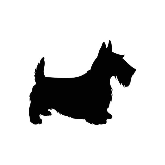 Scottish Terrier Vector at Vectorified.com | Collection of Scottish ...