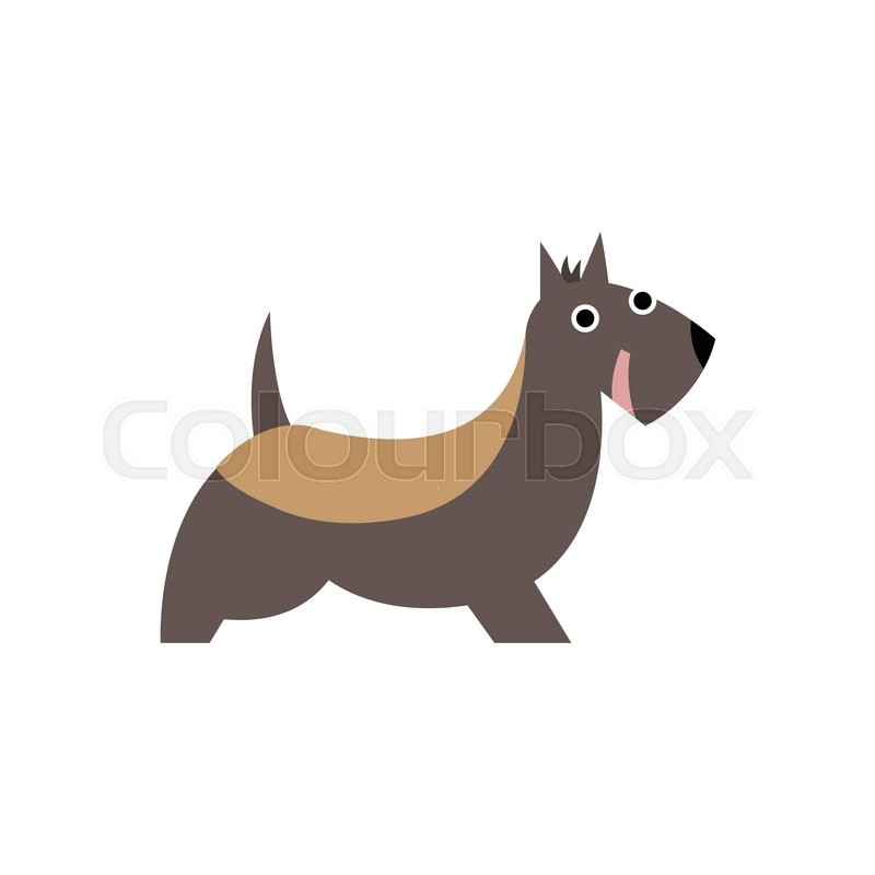 800x800 Scottish Terrier Dog Breed Primitive Stock Vector Colourbox
