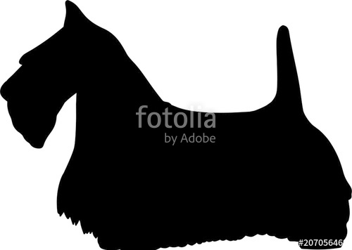 500x356 Scottish Terrier Dog Stock Image And Royalty Free Vector