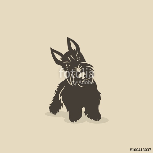 500x500 Scottish Terrier Stock Image And Royalty Free Vector