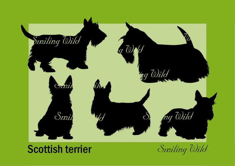 794x562 Scottish Terrier Printable Png Silhouette Vector Graphic Etsy