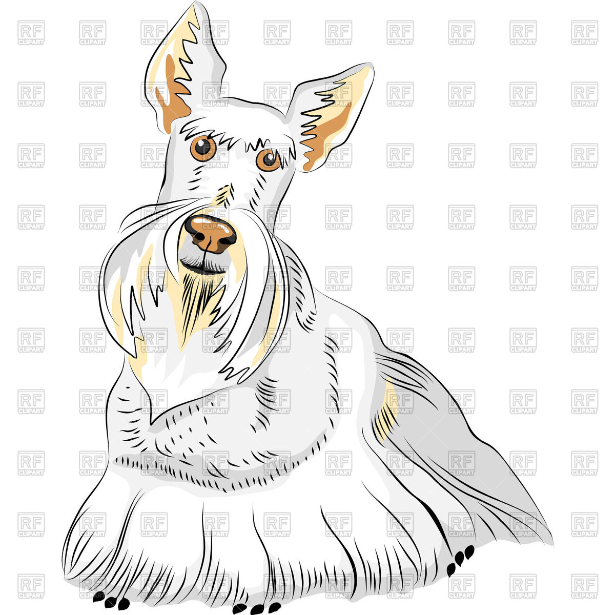 1200x1200 White Scottish Terrier Vector Image Of Plants And Animals