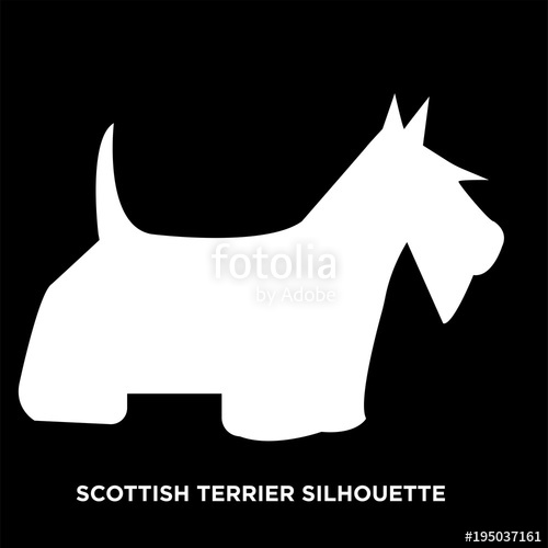 500x500 White Scottish Terrier Silhouette On Black Background Stock Image