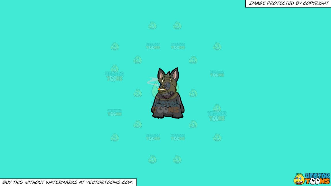 1152x648 Clipart A Scottish Terrier Smoking A Cigarette On A Solid