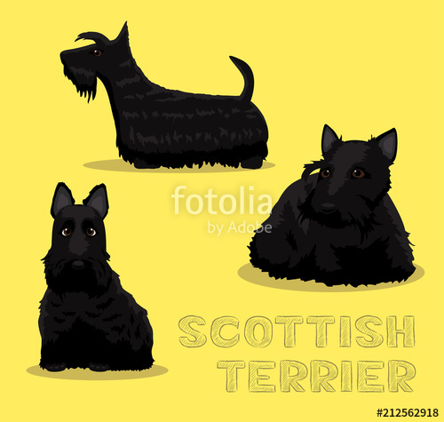 500x475 Dog Scottish Terrier Cartoon Vector Illustration Stock Image