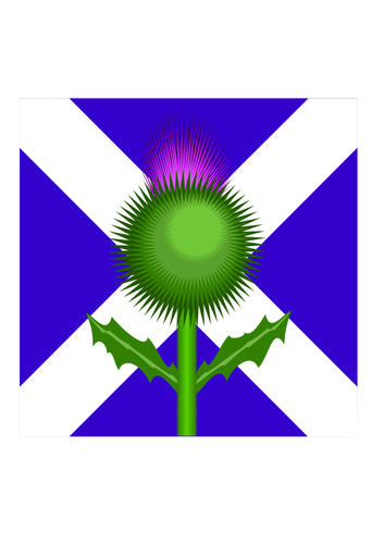 353x500 Scottish Thistle And Flag Vector Image