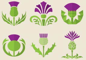 285x200 Thistle Flourish Site Freevectornet Free Vector Graphic Art Free