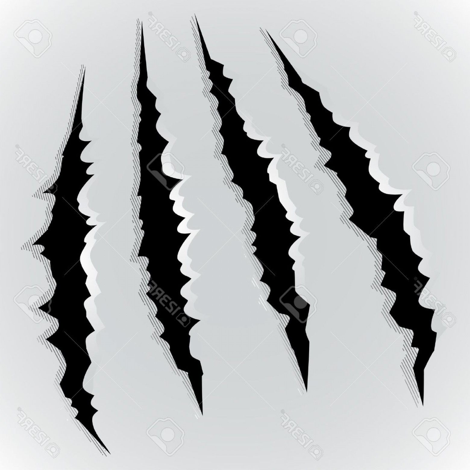 1560x1560 Tiger Scratch Vector