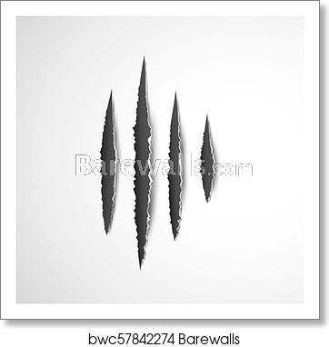362x382 Claws Paw Scratches Isolated Vector On White Background Animal