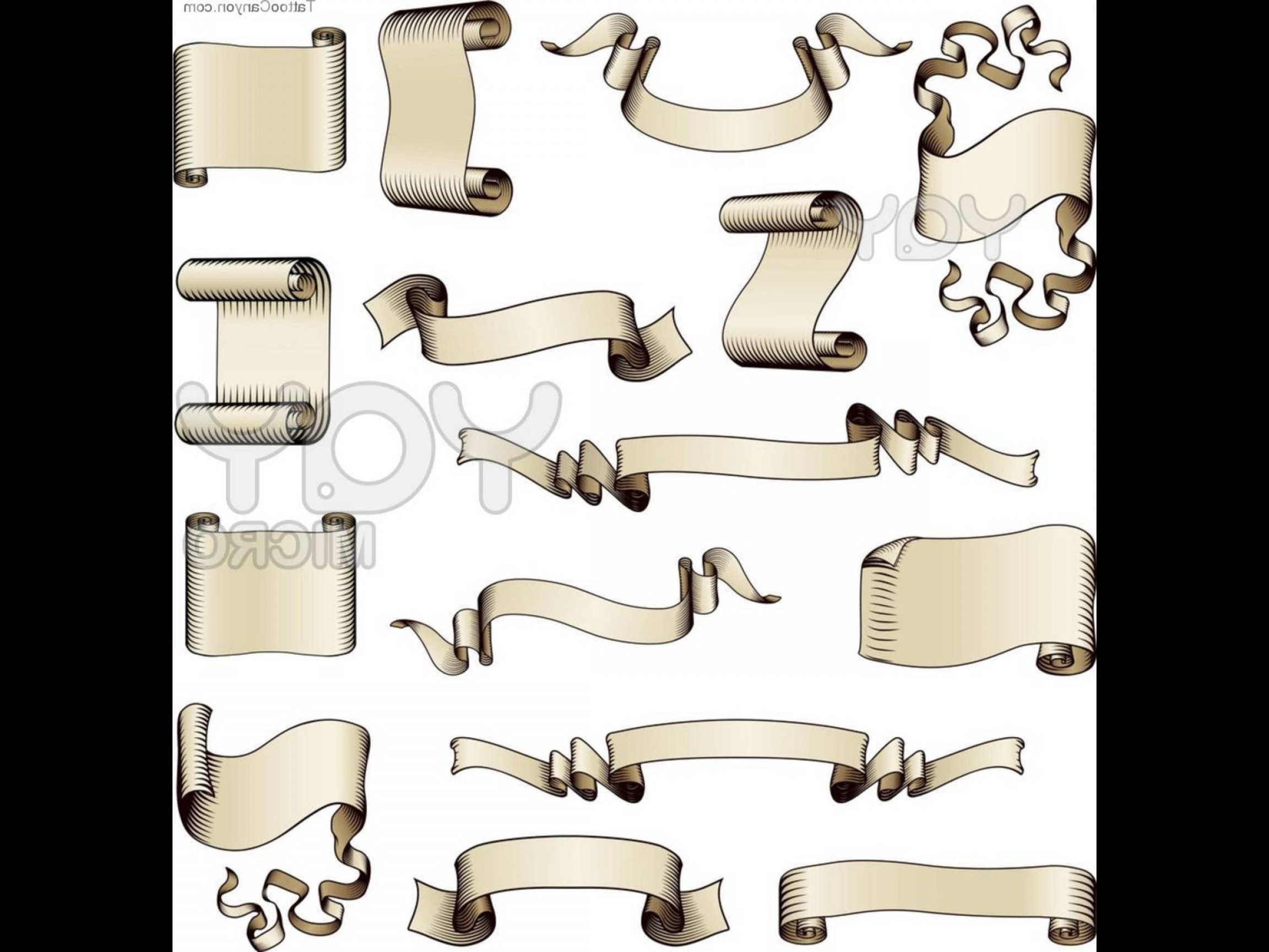 Scroll Banner Vector At Vectorified Com Collection Of Scroll Banner   Scroll Banner Vector 18 