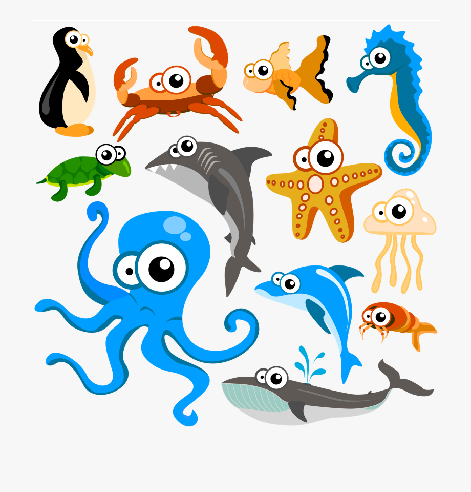 920x960 Free Download Fundo Do Mar Marine Life Nautical