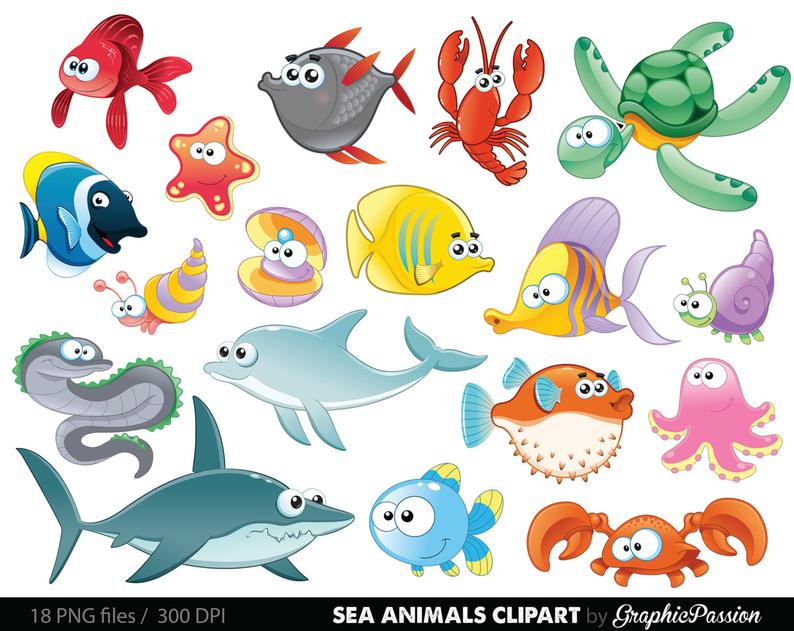 794x631 Sea Animal Clipart Under The Sea Baby Sea Creatures Clip Art Etsy