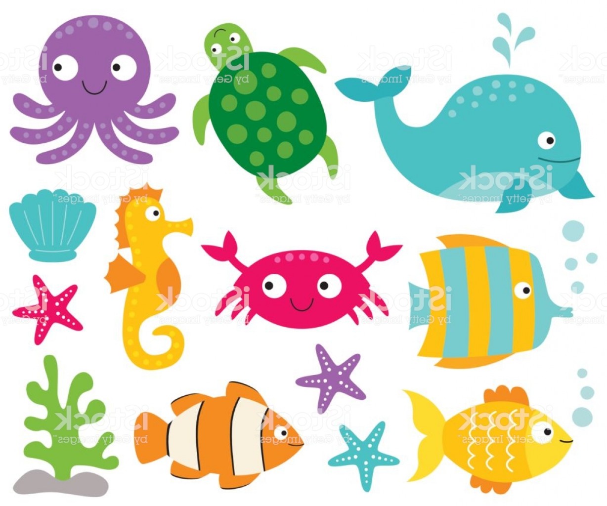 1228x1024 Sea Animals Vector Set Gm Handandbeak