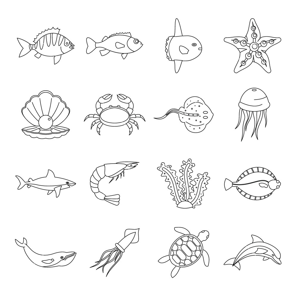 1000x1000 Sea Animals Icons Set Outline Illustration Of Sea Animals