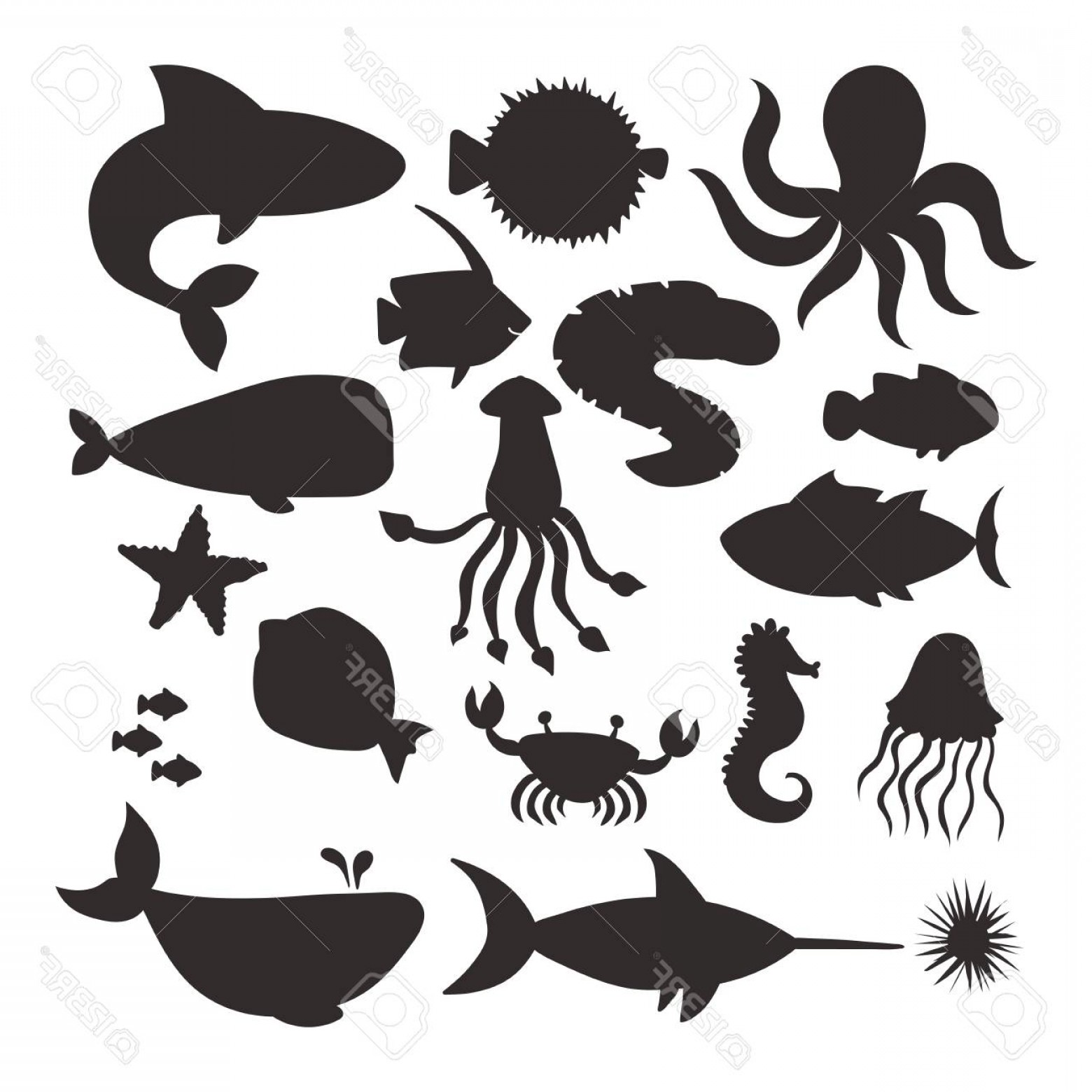 Sea Creatures Vector at Vectorified.com | Collection of Sea Creatures ...