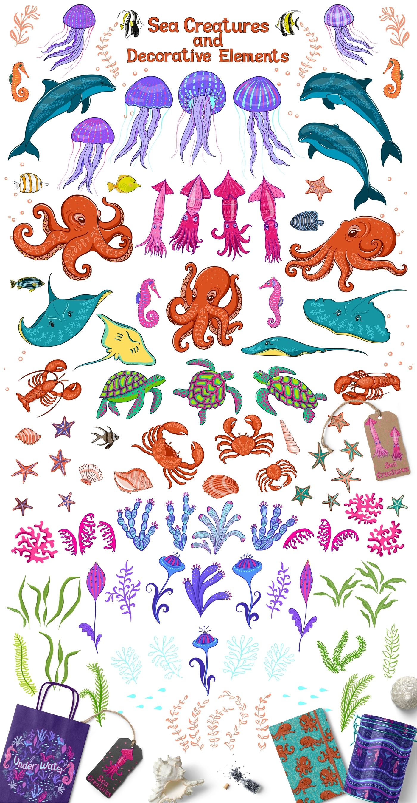 1400x2692 Sea Creatures Vector Set Of Patterns And Illustrations