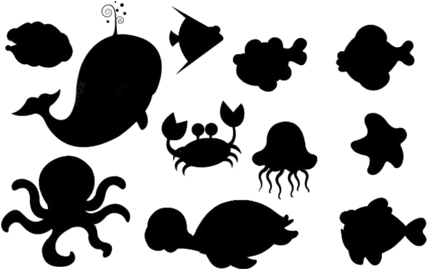 617x389 Sea Animals Collection Sketch Png