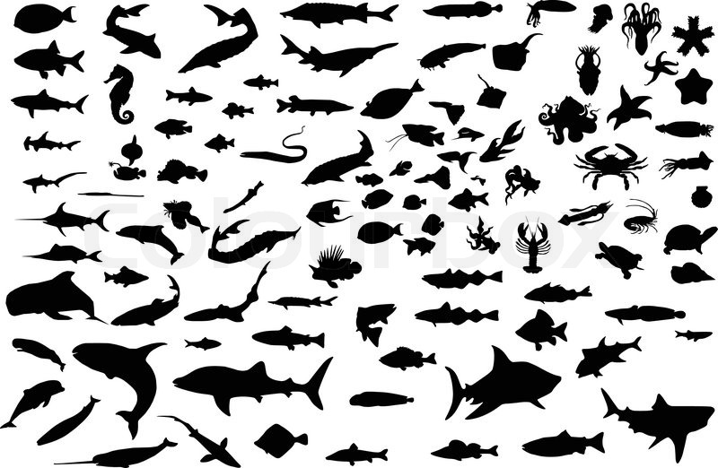 800x522 A Hundred Silhouettes Of Fish And Sea Stock Vector Colourbox