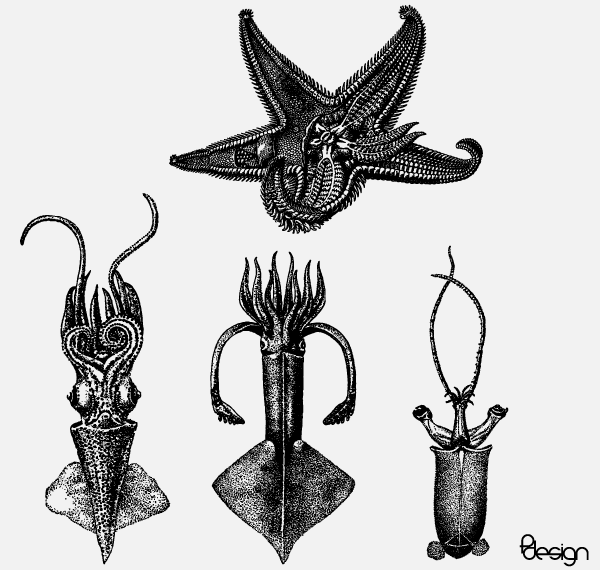 600x570 Sea Animals Vector Set Free Vectors Ui Download