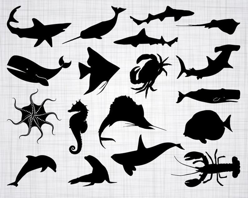 794x635 Sea Creatures Bundle Sea Animals Sea Creatures Etsy