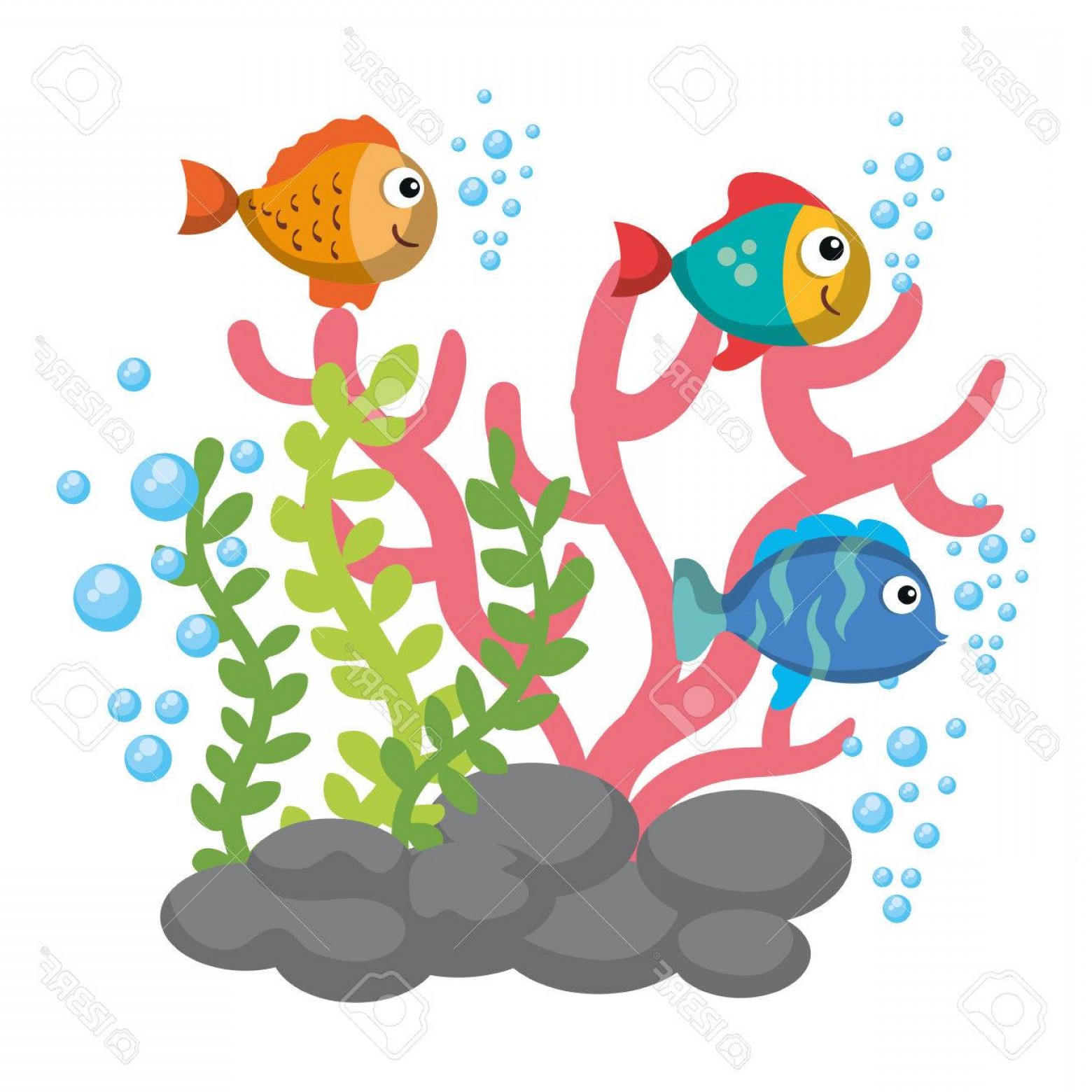 1560x1560 Sea Life Vector Catchsplace