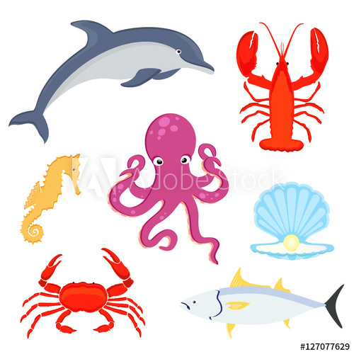 500x500 Sea Creatures Vector