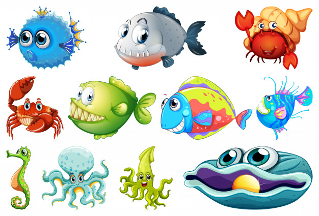 626x425 Set Of Sea Creatures Vector Free Download