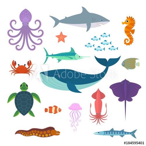 500x500 Set Of Vector Marine Fish And Animals Vector Set Of Sea Creatures