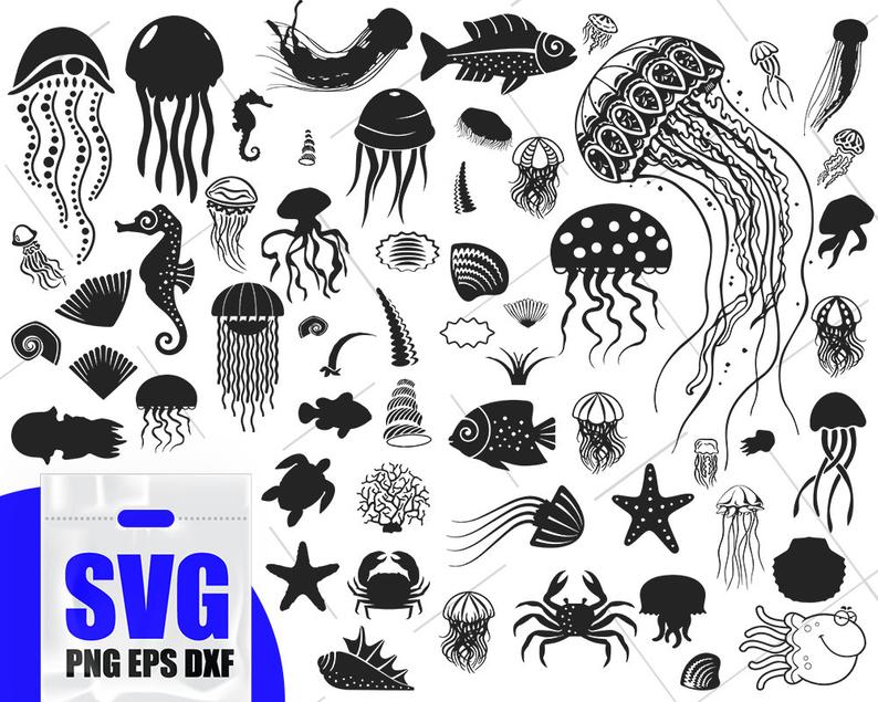 Jellyfish Fish Sea Clipart Sealife Vector Etsy 794x635 Jellyfish Fish Sea Clipart Sealife Vector Etsy