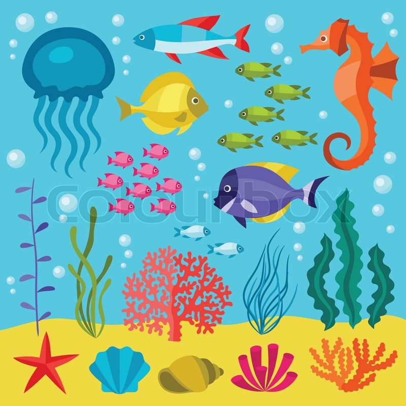Marine Life Set Of Icons, Objects And Stock Vector Colourbox 800x800 Marine Life Set Of Icons, Objects And Stock Vector Colourbox