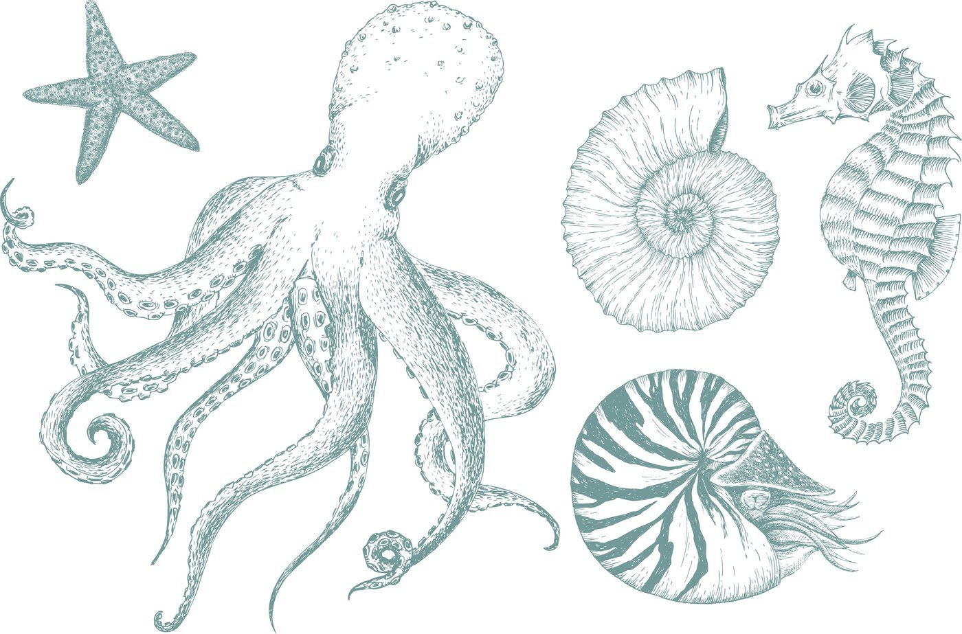 Sea Life 1400x923 Sea Life