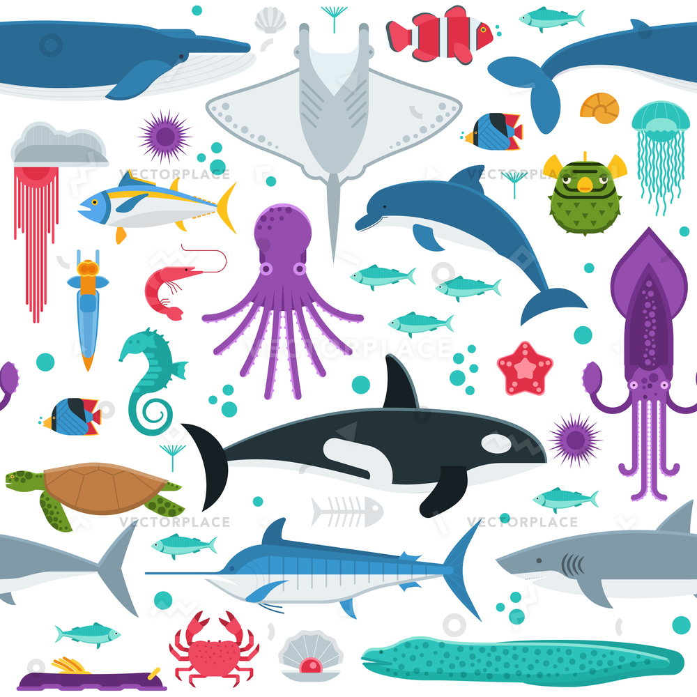 Sea Life Pattern Different Marine Animals Vector Illustration 1000x1000 Sea Life Pattern Different Marine Animals Vector Illustration