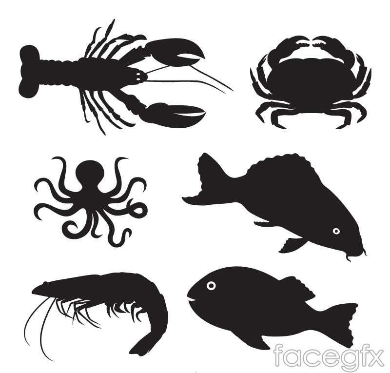 Sea Life Silhouettes Vector Over Millions Vectors, Stock 800x765 Sea Life Silhouettes Vector Over Millions Vectors, Stock