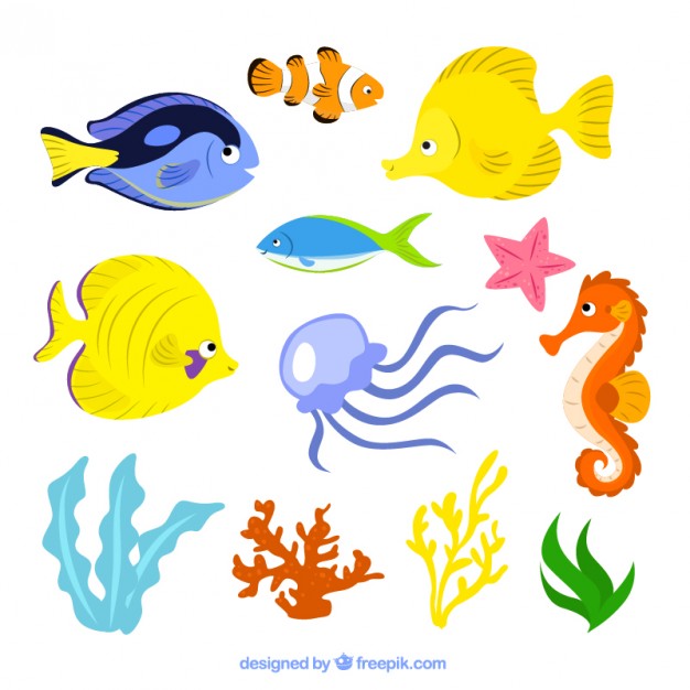 Sea Life Illustration Vector Free Download 626x626 Sea Life Illustration Vector Free Download