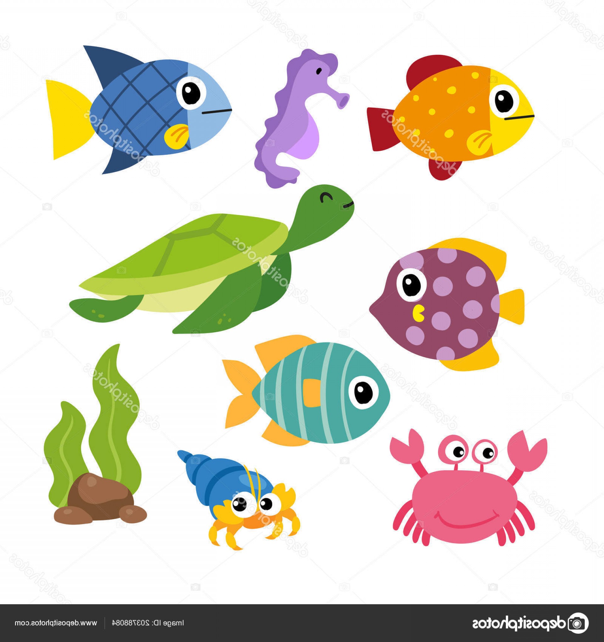 Sea Life Vector at Vectorified.com | Collection of Sea Life Vector free ...