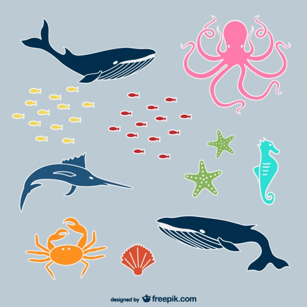 Underwater Sea Life Free Vector Free Vectors Ui Download 626x626 Underwater Sea Life Free Vector Free Vectors Ui Download
