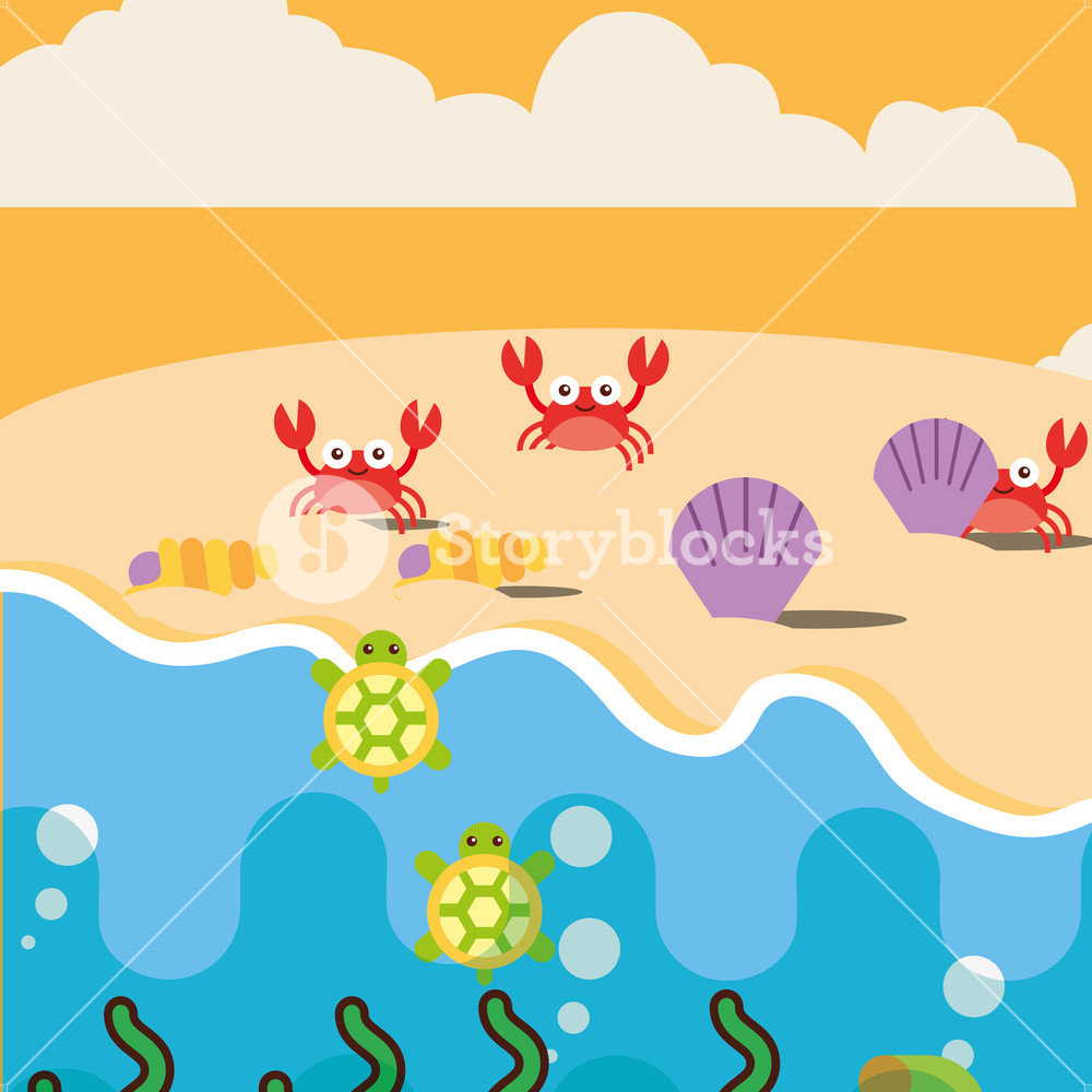Beach Crabs Clams And Turtles Ocean Sea Life Vector Illustration 1000x1000 Beach Crabs Clams And Turtles Ocean Sea Life Vector Illustration
