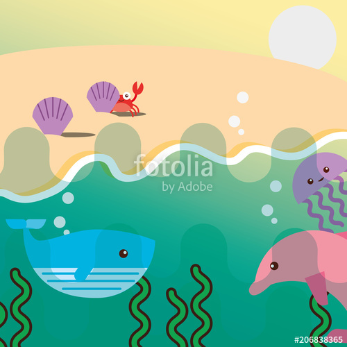 Pink Dolphin Whale Jellyfish And Beach Clam Crab Sea Life Vector 500x500 Pink Dolphin Whale Jellyfish And Beach Clam Crab Sea Life Vector
