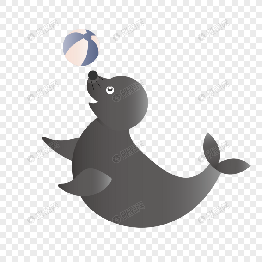 Sea Lion Vector