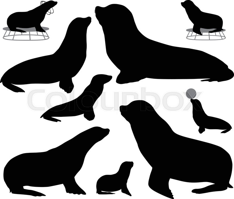 800x681 Collection Of Silhouettes Of Stock Vector Colourbox