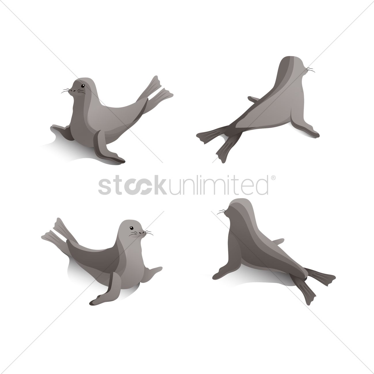 1300x1300 Isometric Sea Lions Vector Image