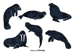 286x200 Sea Lion Free Vector Art