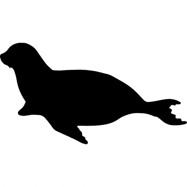626x626 Sea Lion Silhouette Vector Free