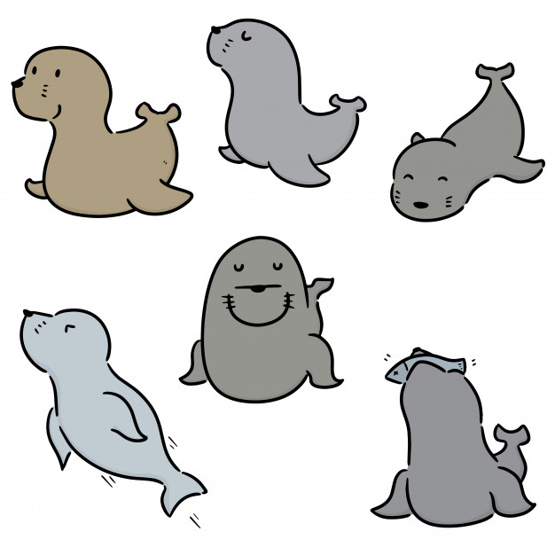 Sea Lion Vector at Vectorified.com | Collection of Sea Lion Vector free ...