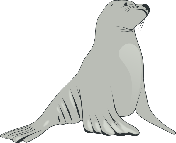 600x489 Sea Lion Clip Art