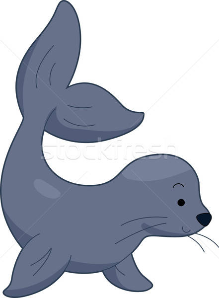 441x600 Sea Lion Vector Illustration Lenm